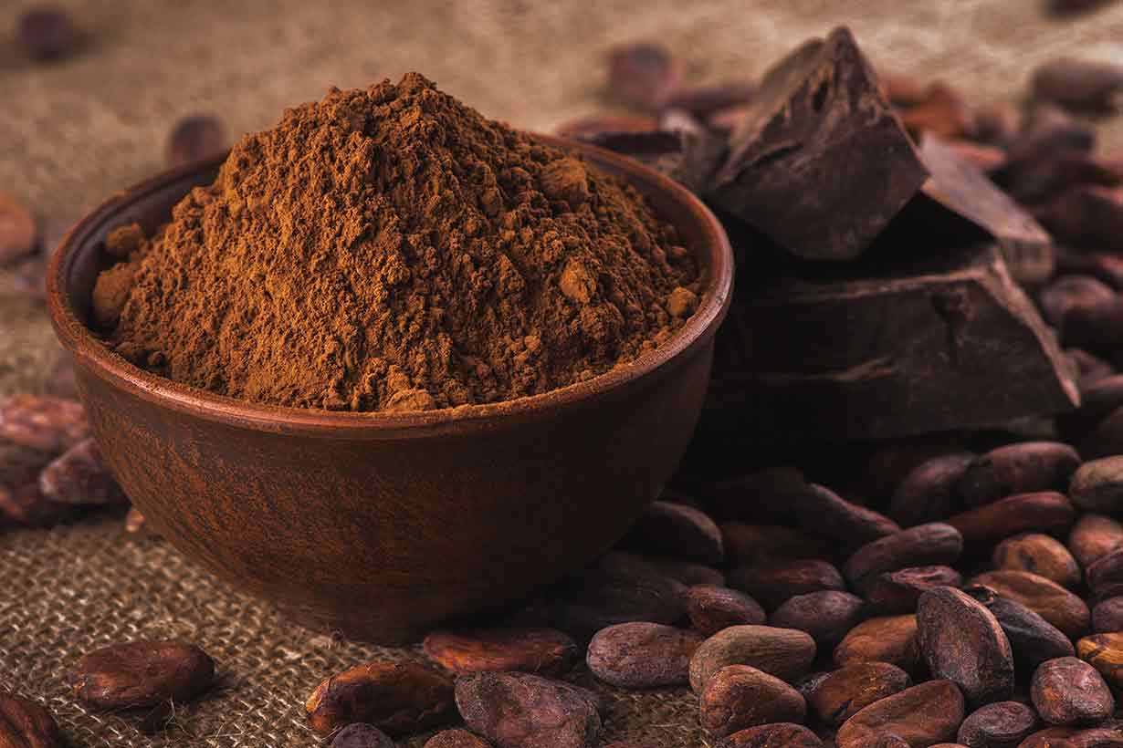 Cacao Powder 101 Venezuelan Cocoa Products